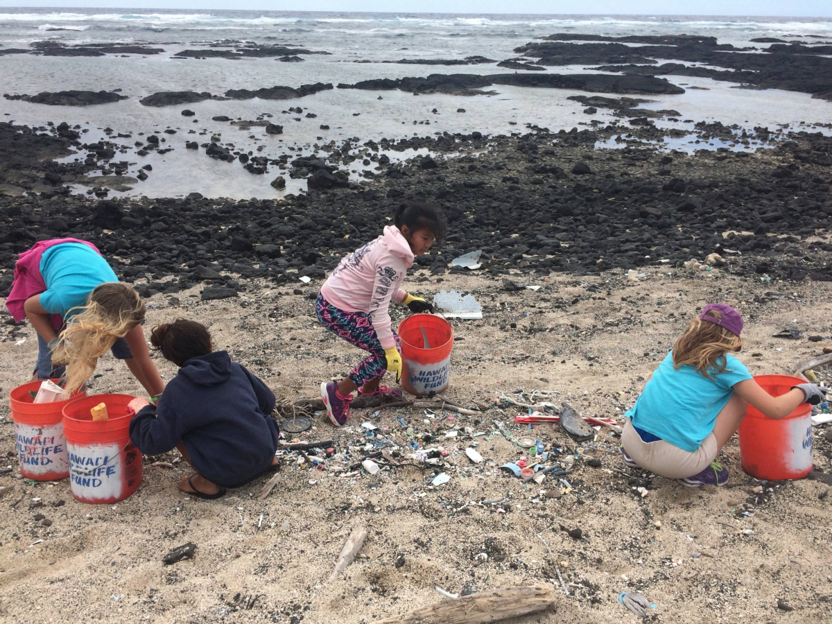 Beach Cleanup 10