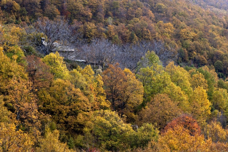 Ekdromi Rodopi Nestos 01