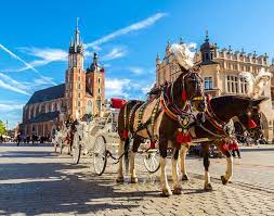 Krakovia Varsovia Polonia Trogadas Travel6